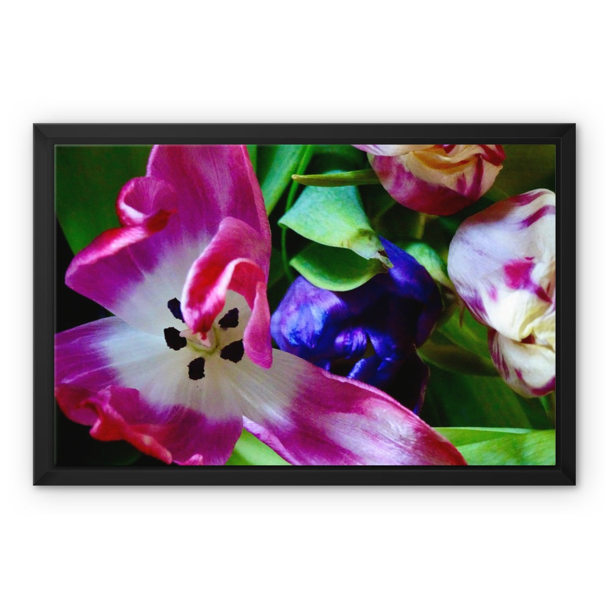 Framed  canvas print from art-picture "Colored Tulips by Francois De Lievre