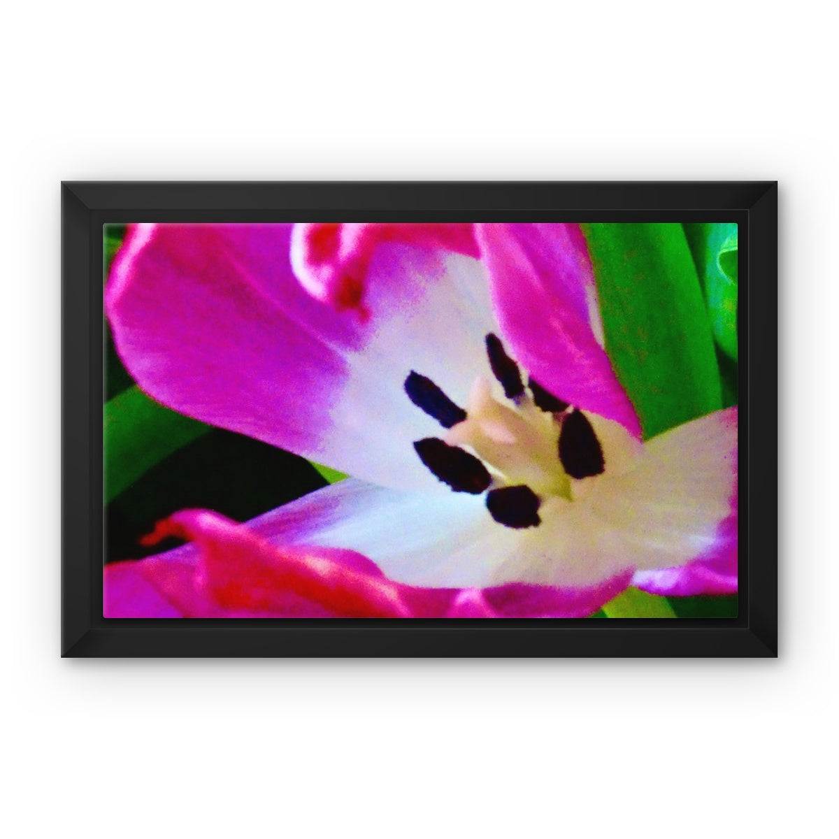 Framed canvas print from Art-Picture "Pink Tulip" by Belgian Artist François De Lievre.