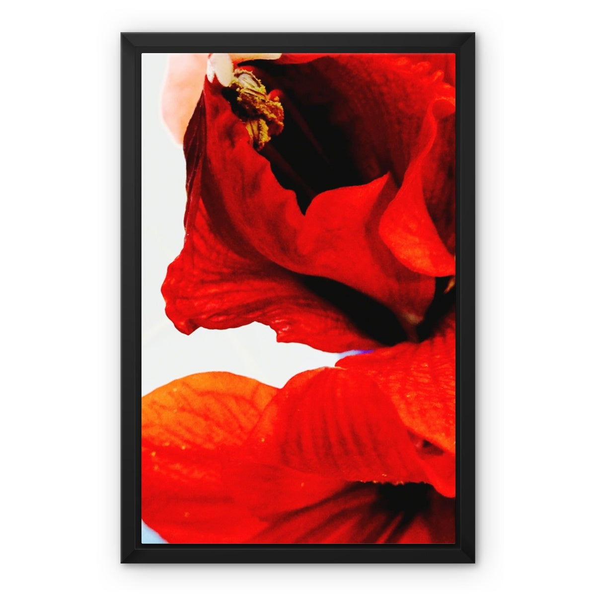 Impression sur toile encadrée : image de Rougeflower par François De Lièvre sur toile encadrée