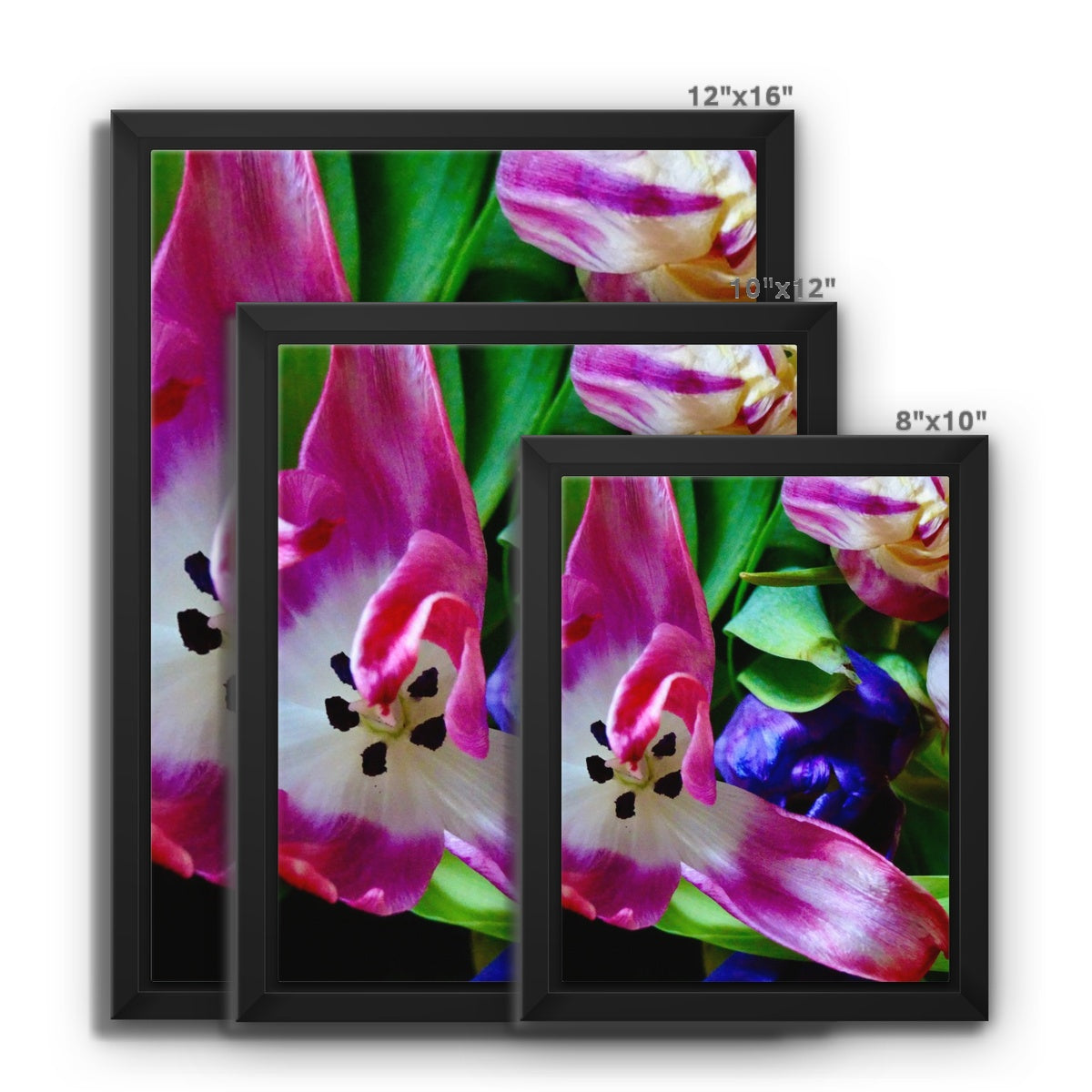 Framed  canvas print from art-picture "Colored Tulips by Francois De Lievre