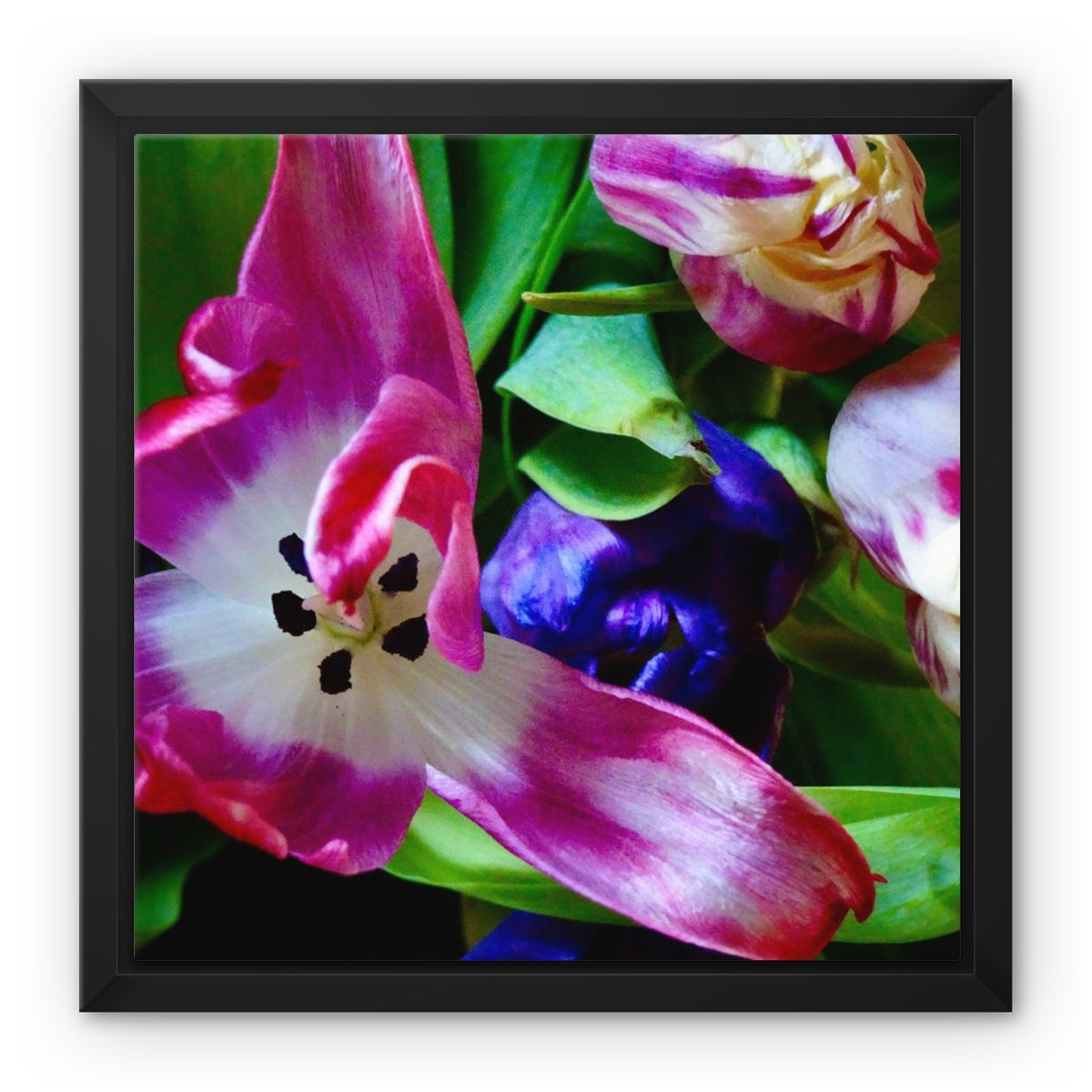 Framed  canvas print from art-picture "Colored Tulips by Francois De Lievre