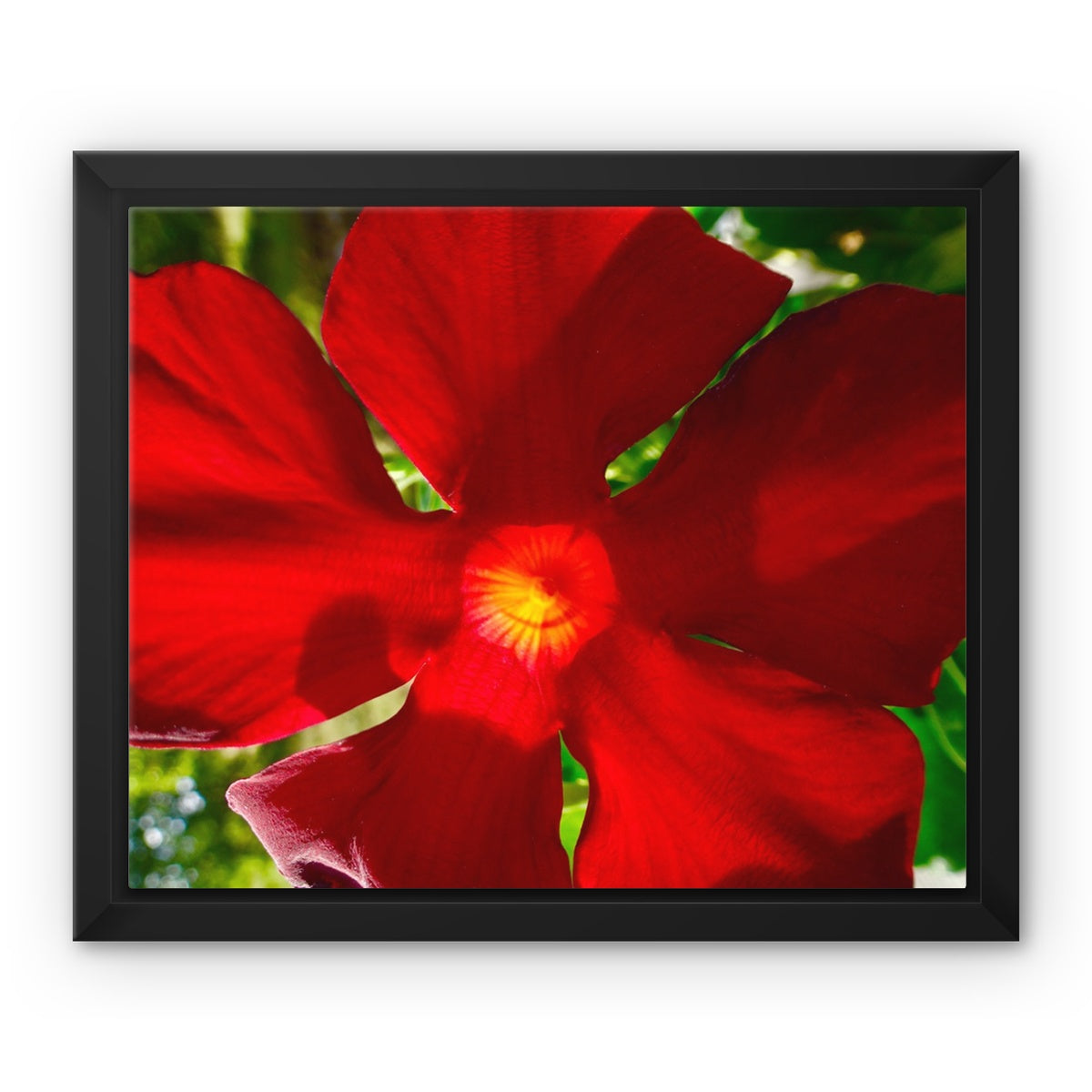 Framed art-picture Canvas Print: RED BEAUTY by François De Lievre