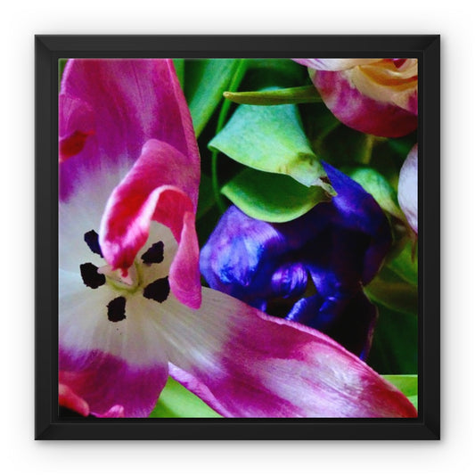 Framed  canvas print from art-picture "Colored Tulips by Francois De Lievre