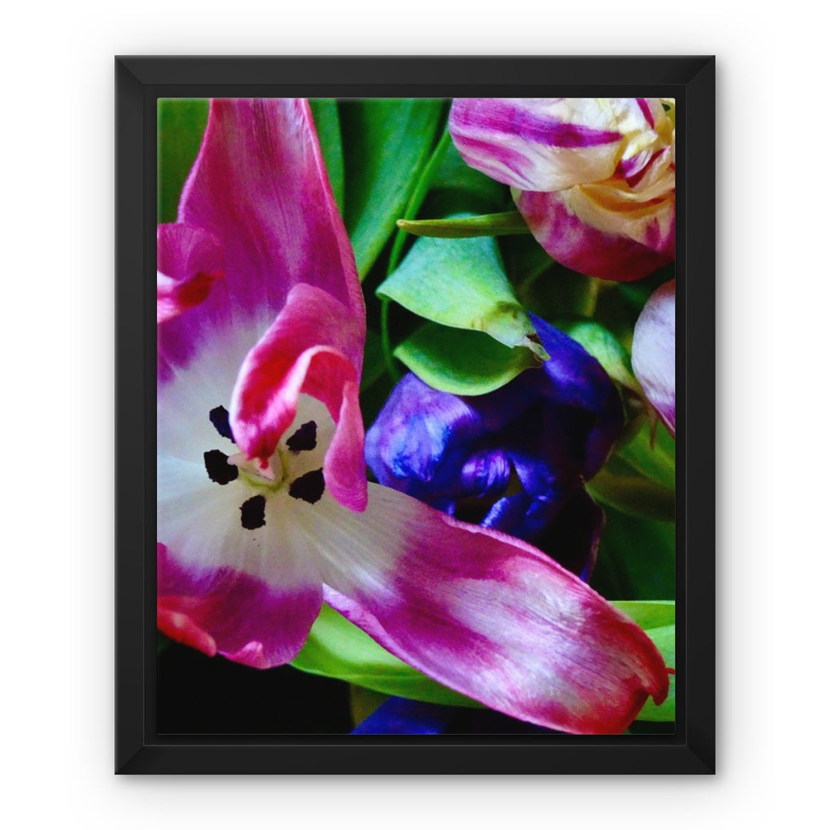 Framed  canvas print from art-picture "Colored Tulips by Francois De Lievre