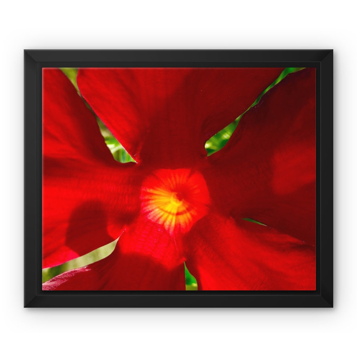 Framed art-picture Canvas Print: RED BEAUTY by François De Lievre