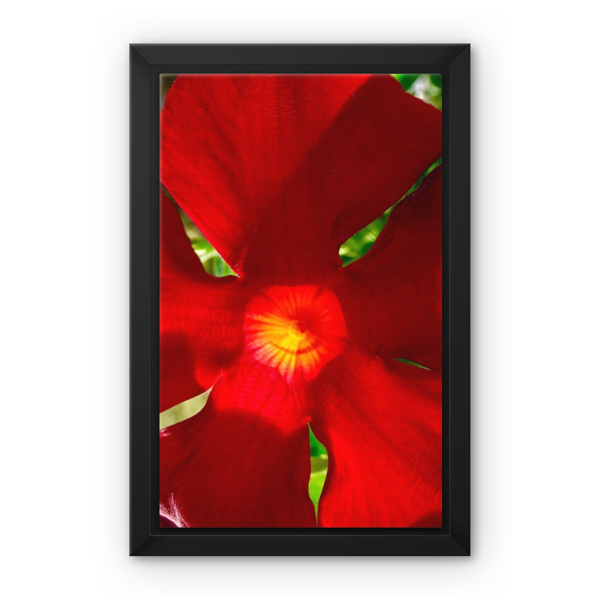 Framed art-picture Canvas Print: RED BEAUTY by François De Lievre