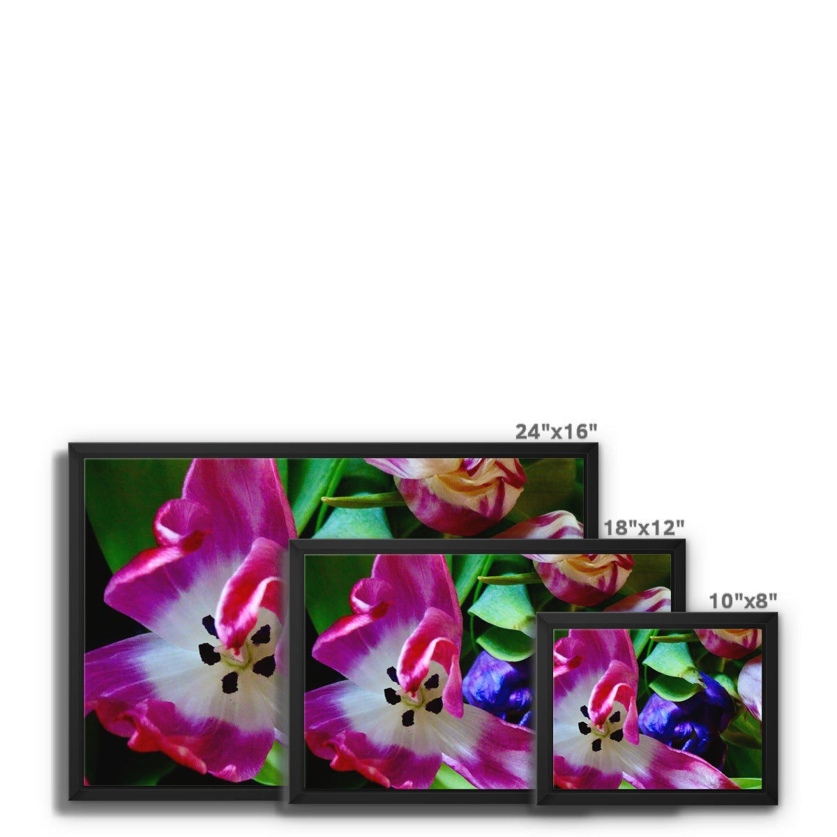 Framed  canvas print from art-picture "Colored Tulips by Francois De Lievre