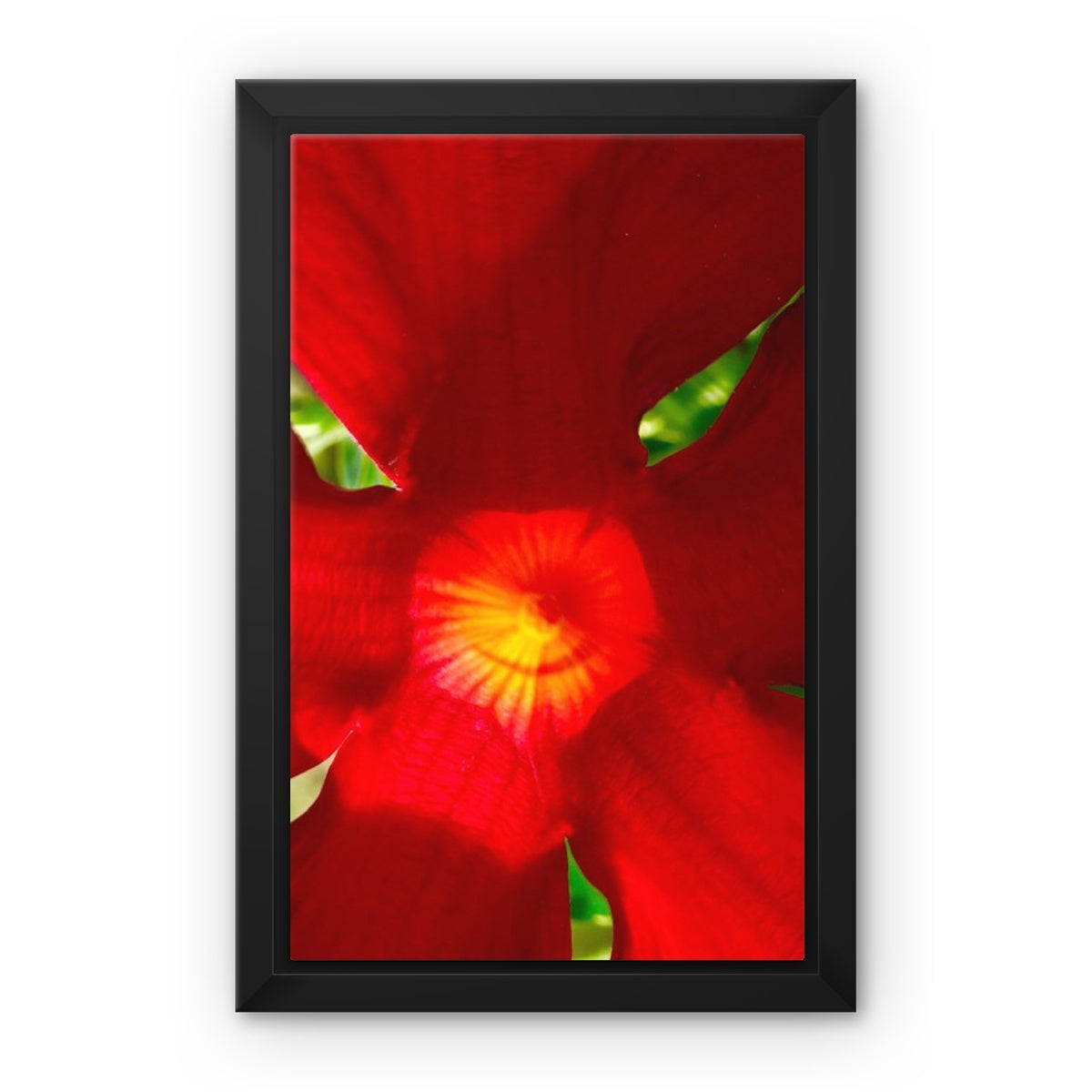 Framed art-picture Canvas Print: RED BEAUTY by François De Lievre