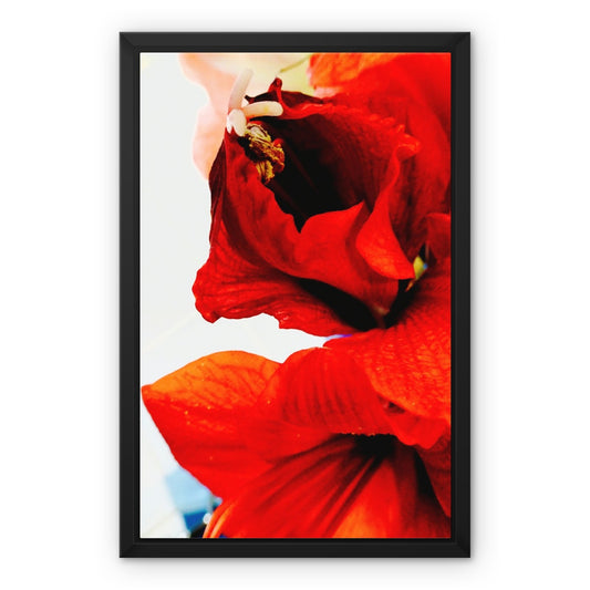 Framed Art-Picture Canvas Print:  Rougeflower picture by Francois De Lievre Framed Canvas