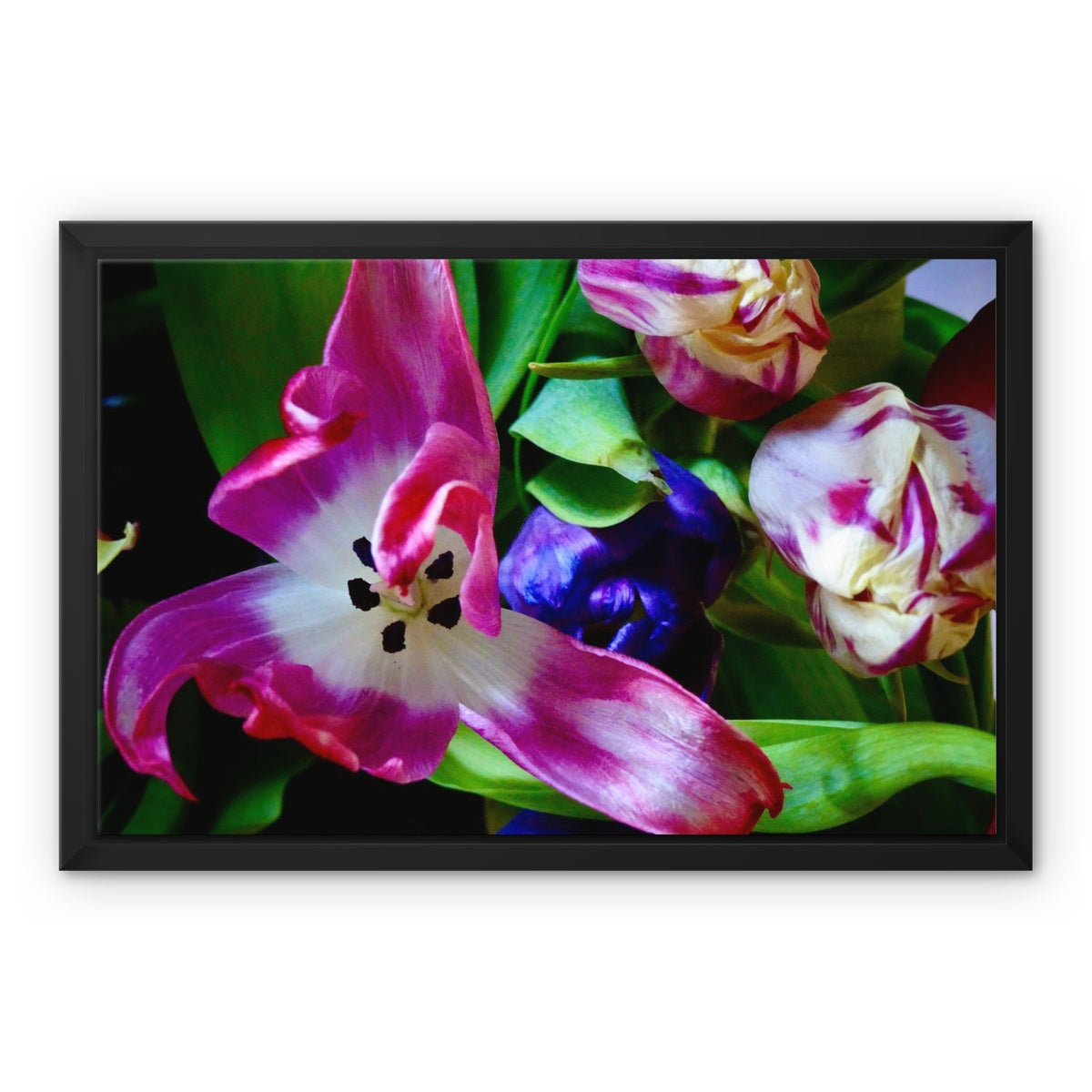 Framed  canvas print from art-picture "Colored Tulips by Francois De Lievre