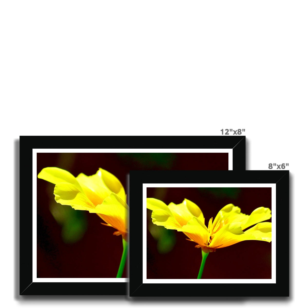 Framed Print: YELLOW FLOWER by François De Lievre