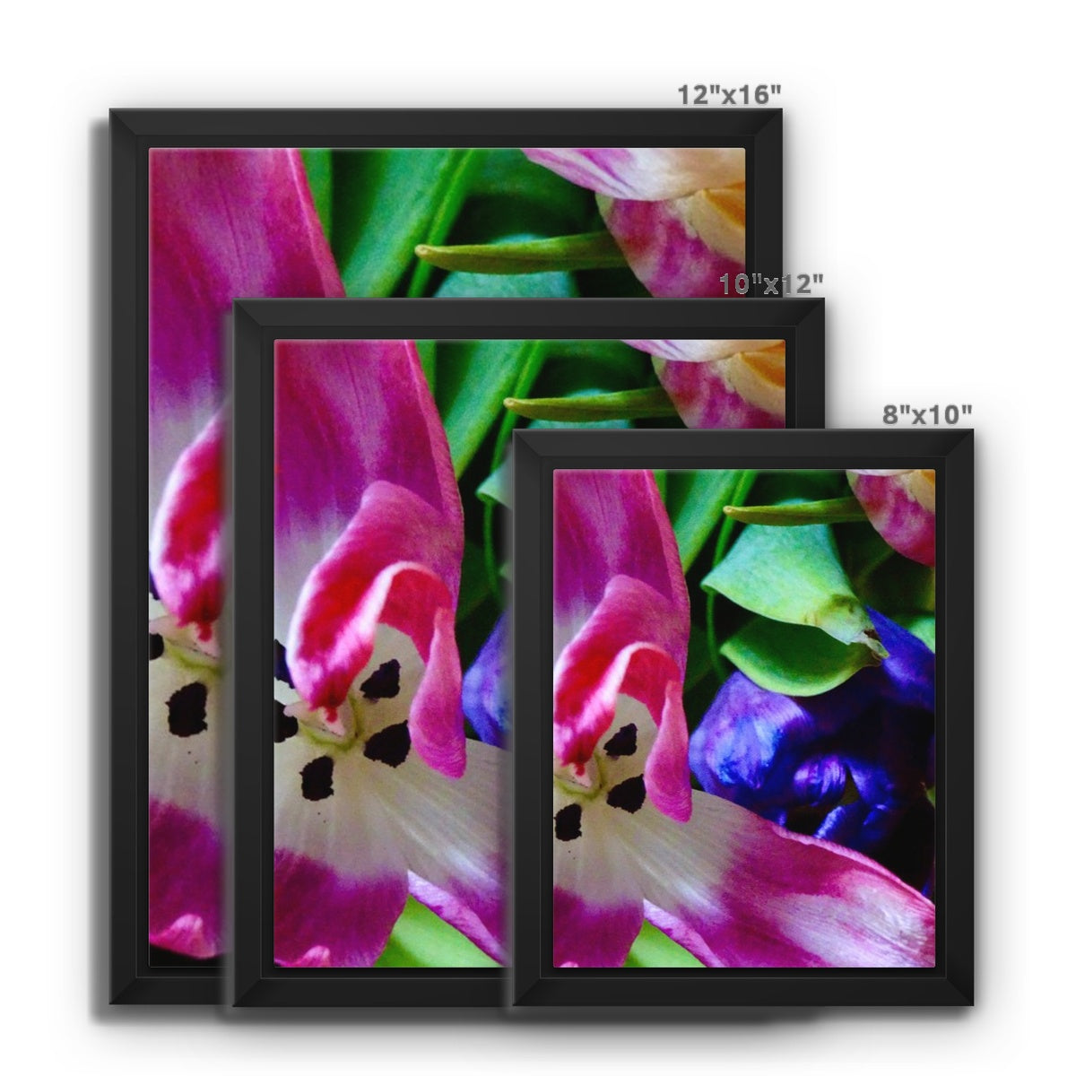 Framed  canvas print from art-picture "Colored Tulips by Francois De Lievre