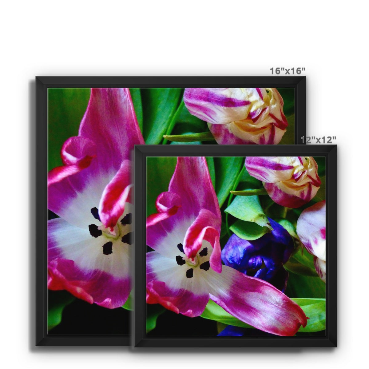 Framed  canvas print from art-picture "Colored Tulips by Francois De Lievre