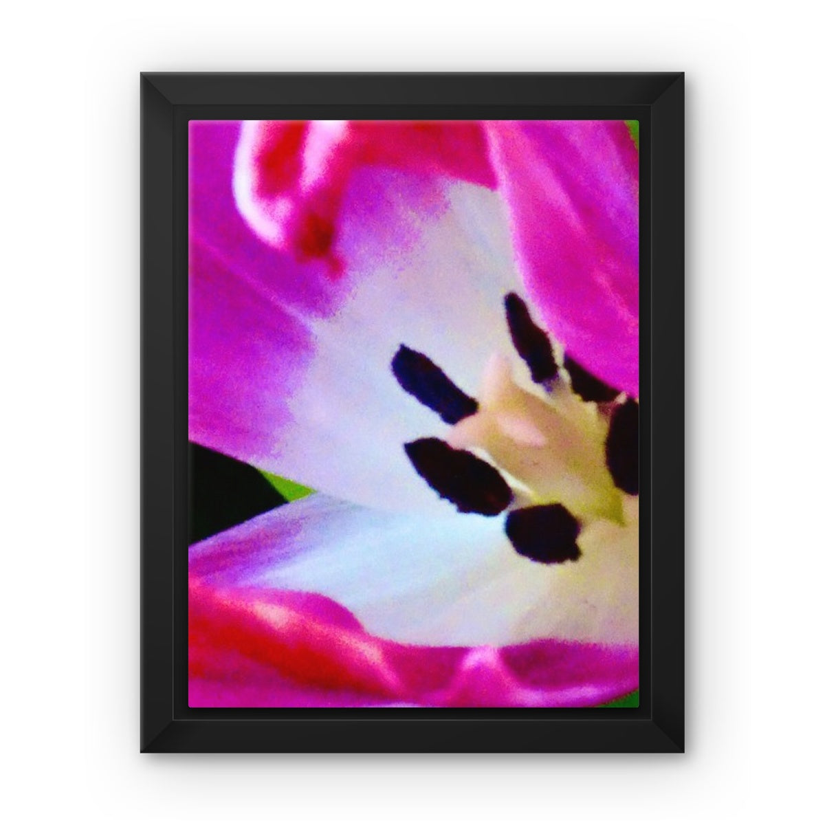 Framed canvas print from Art-Picture "Pink Tulip" by Belgian Artist François De Lievre.