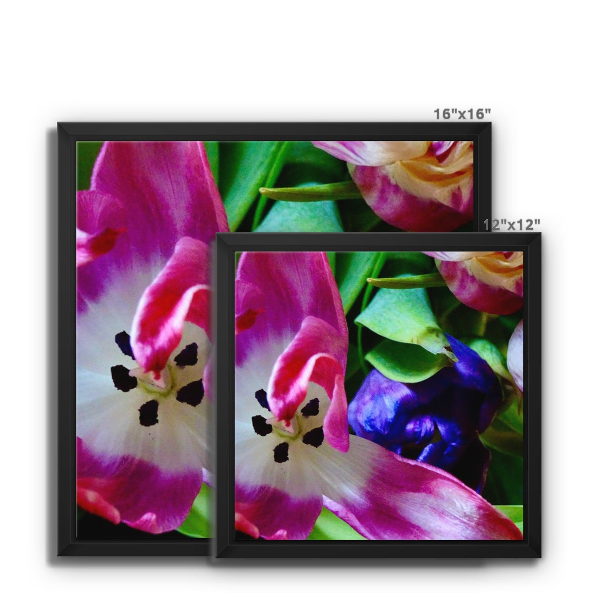 Framed  canvas print from art-picture "Colored Tulips by Francois De Lievre